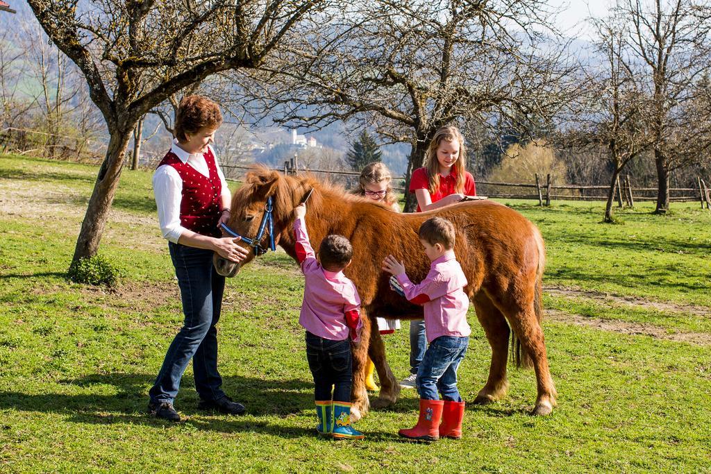 Familienparadies Zeislerhof Villa Glanegg  ภายนอก รูปภาพ